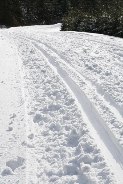 Ski track — Stock Photo, Image