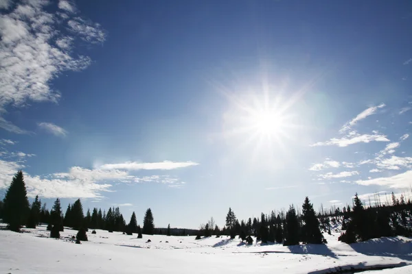 Winter sunny day — Stock Photo, Image