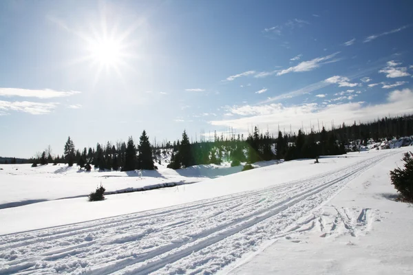 Winter sunny day — Stock Photo, Image