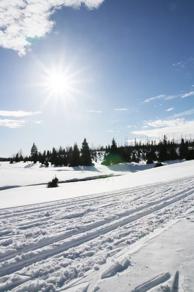 Winter sunny day — Stock Photo, Image