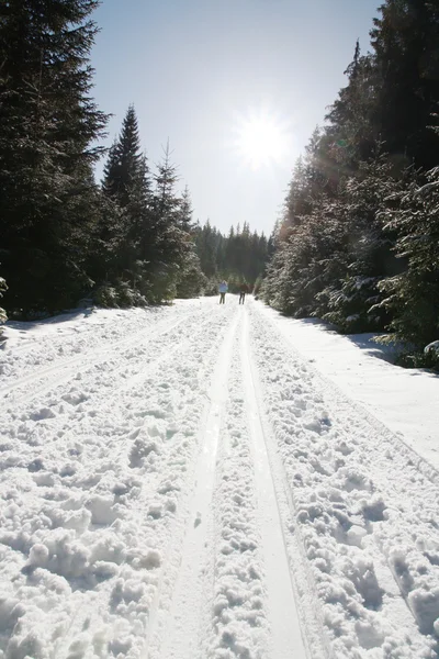 Zonnige winterdag — Stockfoto