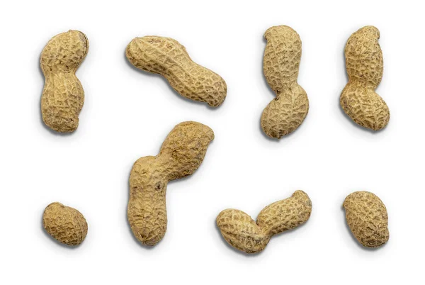 Peanuts Isolated White Background Macro Shot — Stock Photo, Image