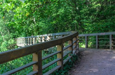 Ormandaki küçük nehrin olduğu yer.