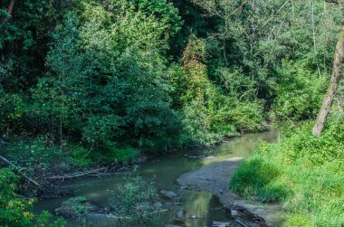 Ormandaki küçük nehrin olduğu yer.