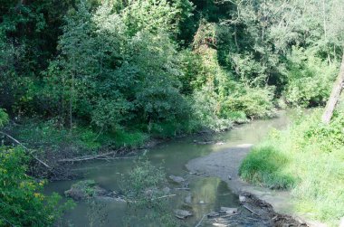 Ormandaki küçük nehrin olduğu yer.