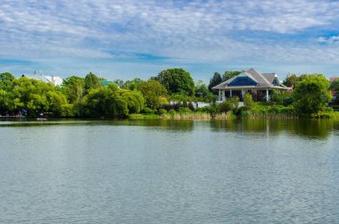 Yazın ve ormanda göl manzaraları