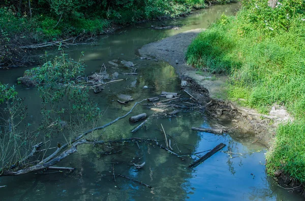 Krajina Kde Malá Řeka Lese — Stock fotografie