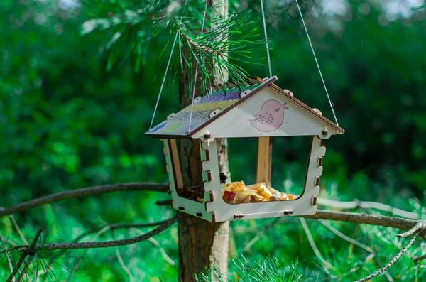 Vogelhaus Den Sommerwald — Stockfoto