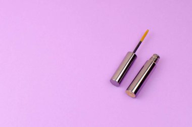 Göz ve dudak makyajı için temel kozmetikler