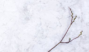 somut arkaplan ve doku dallarla kapanır