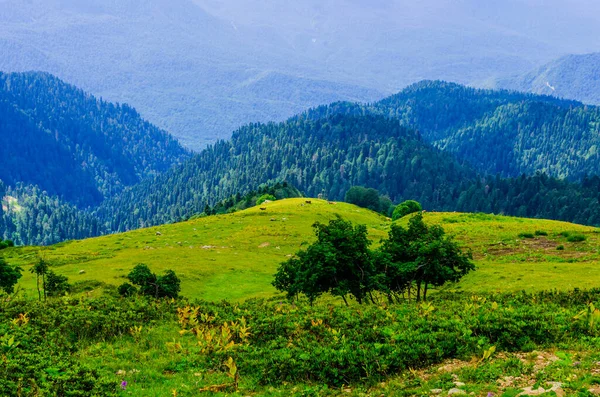 Güzel yaz güneşli dağları Bulutlar ve çayırlar