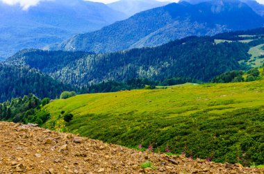 Güzel yaz güneşli dağları Bulutlar ve çayırlar