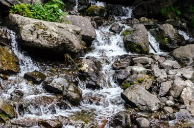 Yazın Abhazya 'da dağ şelaleleri