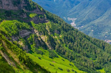 Güneşli bir günde yeşil çimenli ve çiçekli dağ çayırları