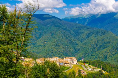 Güneşli bir günde yeşil çimenli ve çiçekli dağ çayırları. Yüksek kalite fotoğraf
