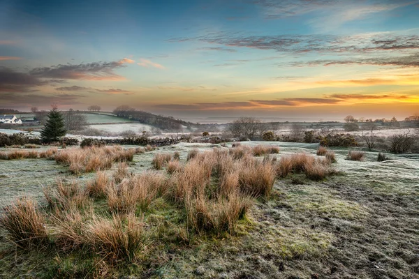 Nascer do sol gelado em Bellever em Dartmoor — Fotografia de Stock