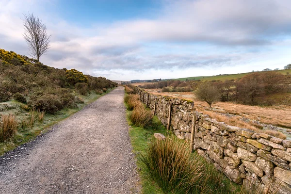 Feldweg in Dartmoor — Stockfoto