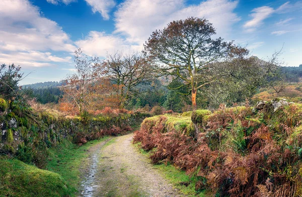 Carril de Dartmoor —  Fotos de Stock