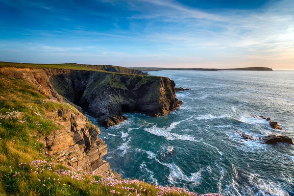 Steile kliffen van Cornwall — Stockfoto