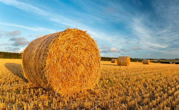 Balle di fieno — Foto Stock