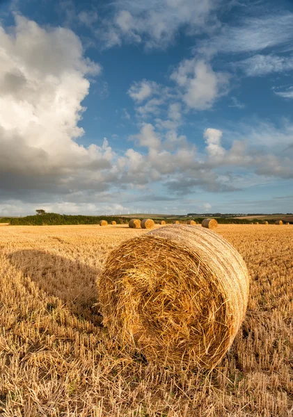 Hay balyaları — Stok fotoğraf