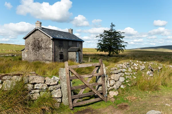 Estate su Dartmoor — Foto Stock