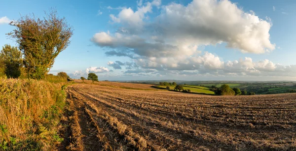 English Countryside — Stock Photo, Image