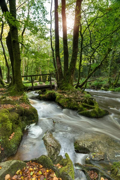 Golitha Falls on Bodmin Moor — Stock Photo, Image