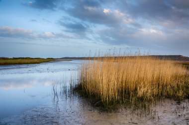 Stanpit Marsh clipart