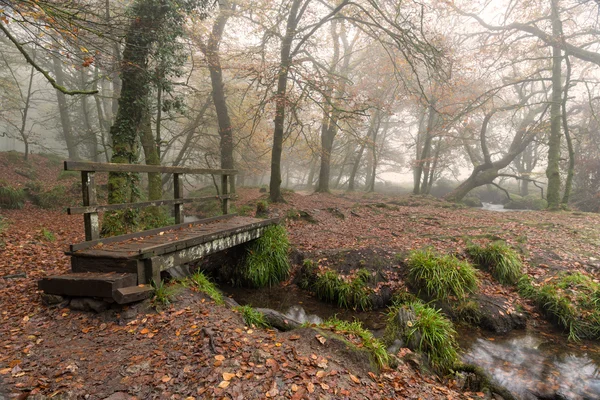 Wooden Bridge — Stock Photo, Image