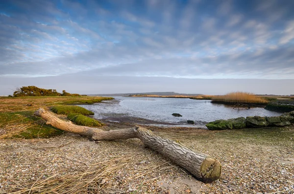 Stanpit Marsh — Stock Photo, Image