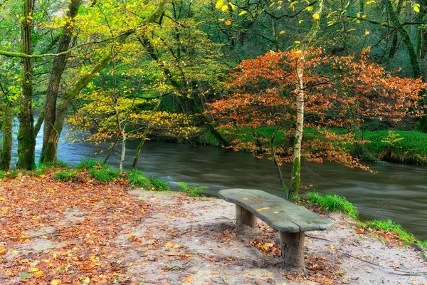 Dřevěná lavička řeky — Stock fotografie