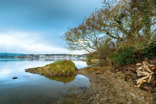 Il fiume Tamar — Foto Stock