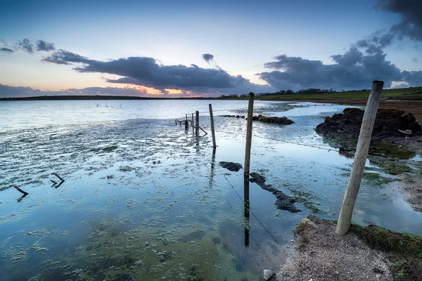 Kollisionsee im Bodmaner Moor — Stockfoto