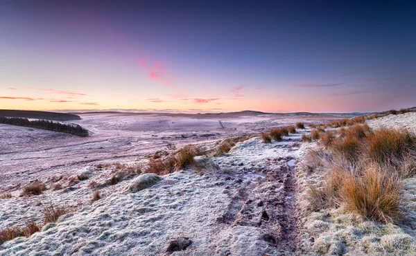 Bodmin Moor in Cornwall — Stock Photo, Image