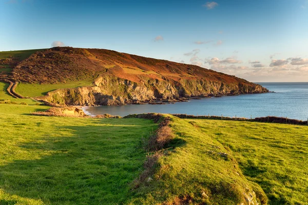 The Cornish Coastline — Stock Photo, Image