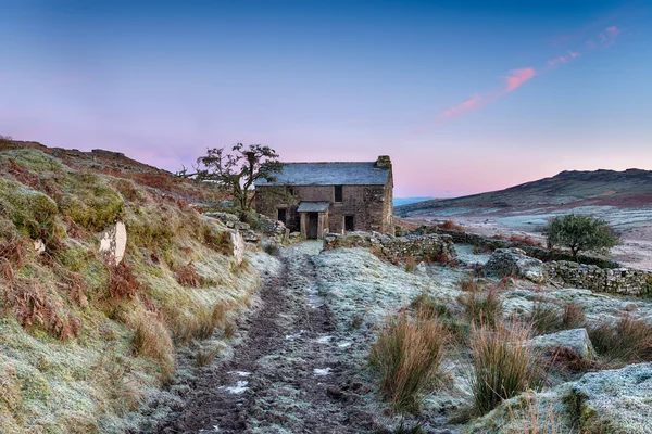 Frostiger Morgen auf dem Moor — Stockfoto