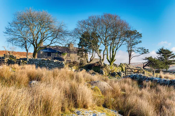 Ditswortht Warren in Devon — Stock Photo, Image