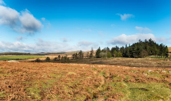 Parque Nacional Dartmoor —  Fotos de Stock