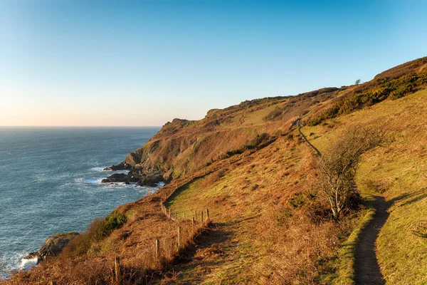 Pencarrow Head — Stock Photo, Image