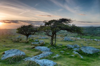 Coombestone Tor on Dartmoor clipart