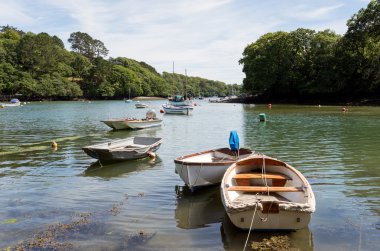 The River Helford clipart