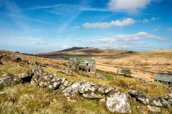 Коричневий Віллі на Моор Bodmin — стокове фото