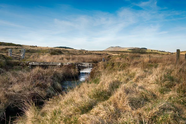 Bodmin Moor — Stock Photo, Image