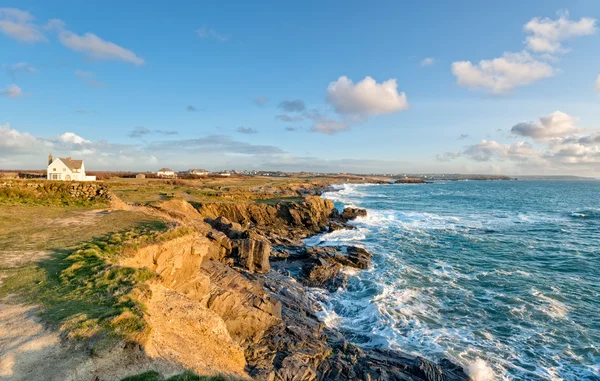 Baia di boobys — Foto Stock