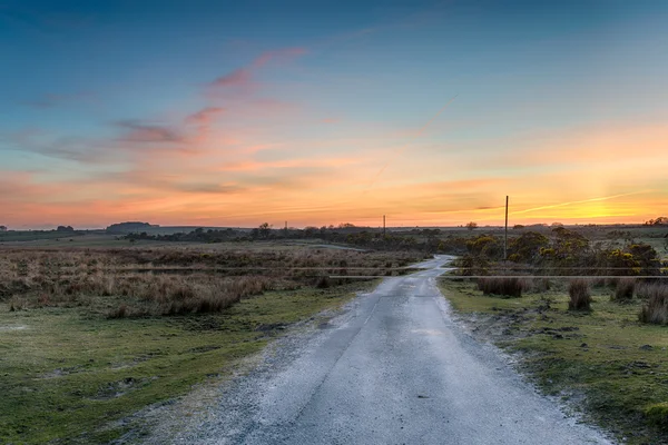 Lonely Road — Stock Photo, Image