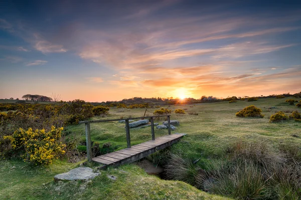 A Wooden Bridge on the Moor — Stock Photo, Image