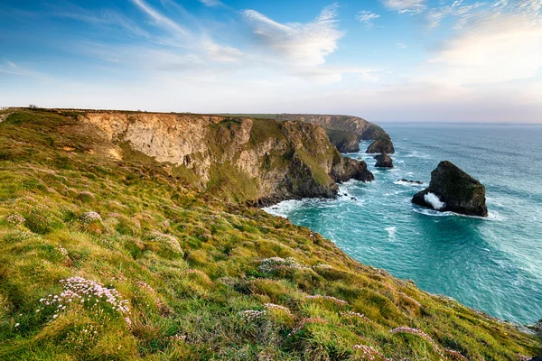 Cliffs at Pentire adımları — Stok fotoğraf