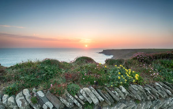 The South West Coast Path at Park Head — Stock Photo, Image