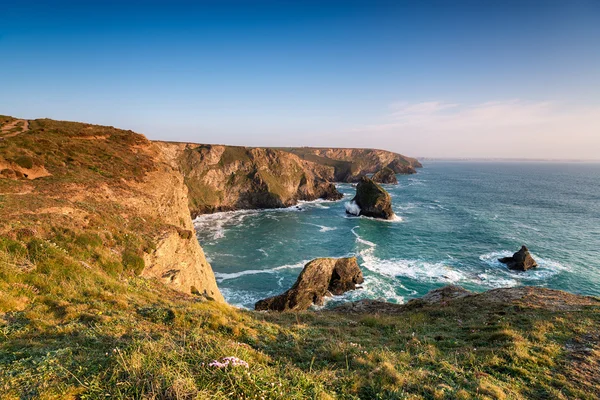 Cornish Coastline at Park Head — Stock Photo, Image